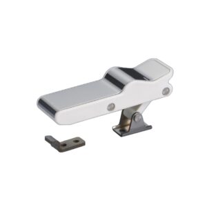 Flexible Latches